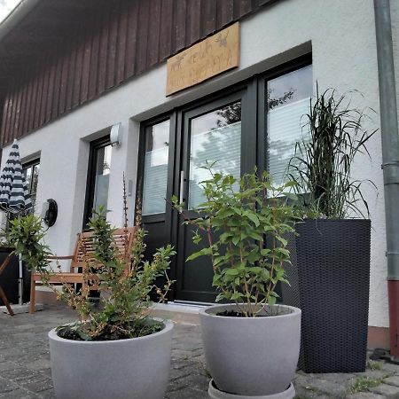 Ferienwohnung Zum Eifelelch Daun Dış mekan fotoğraf