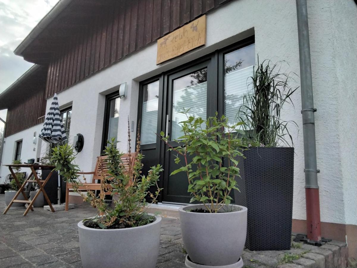 Ferienwohnung Zum Eifelelch Daun Dış mekan fotoğraf